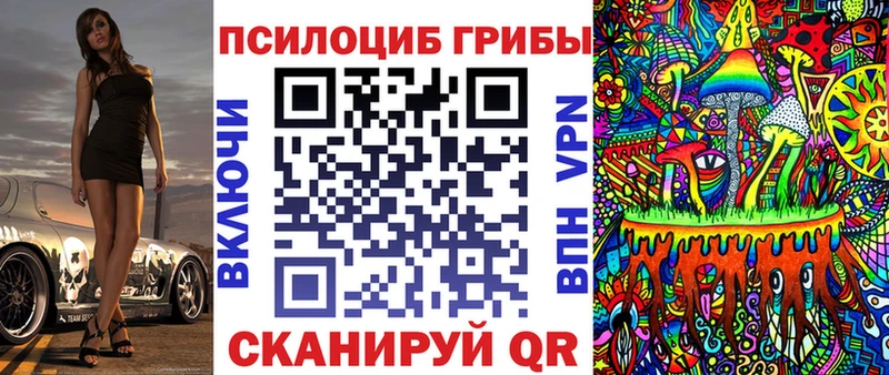 Псилоцибиновые грибы GOLDEN TEACHER  Купить  Узловая 